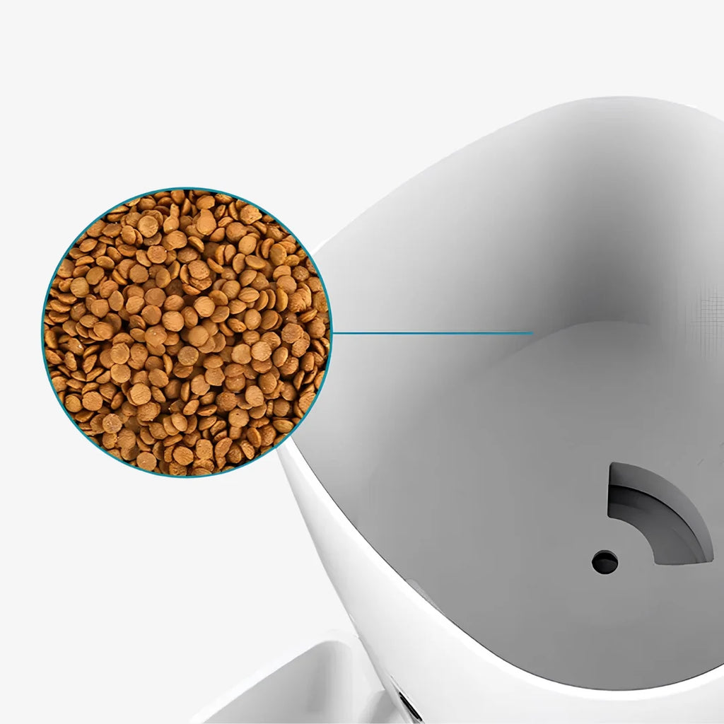 PureChat -  FeedSmart